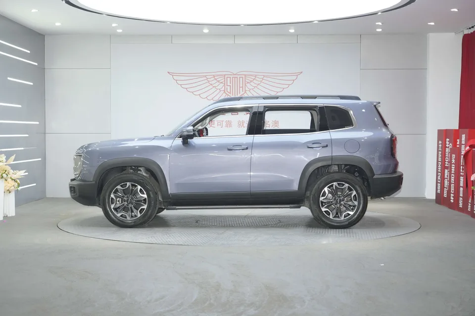 Haval Dargo Haval Big Dog 2024 2.0T four-wheel drive Chinese pastoral dog version 2024 — фото 1, купить с доставкой в Москву