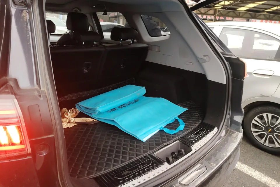 Chery Tiggo 8 PLUS 290TGDI DCT luxury version 2022 — миниатюра 5