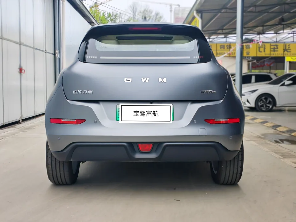 ORA Euler good cat 430km Premium Edition 2025 — миниатюра 2