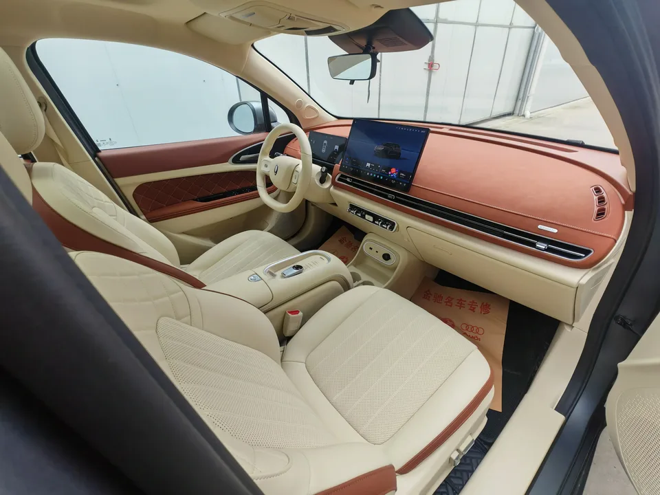 ORA Euler good cat 430km Premium Edition 2025 — миниатюра 5
