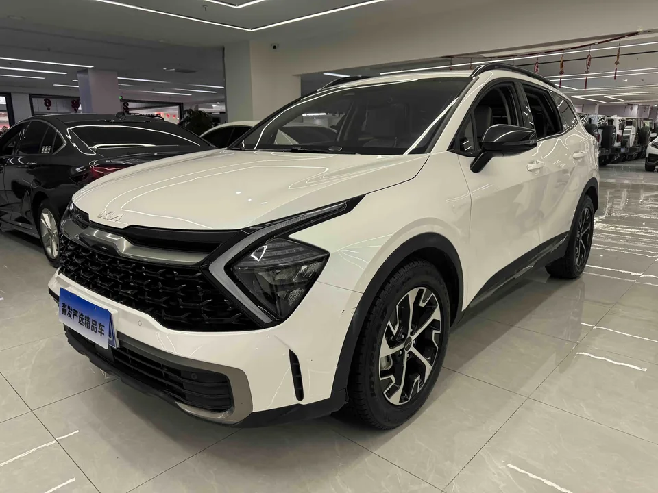 Kia Lion Platinum Expands the Boundary 2023