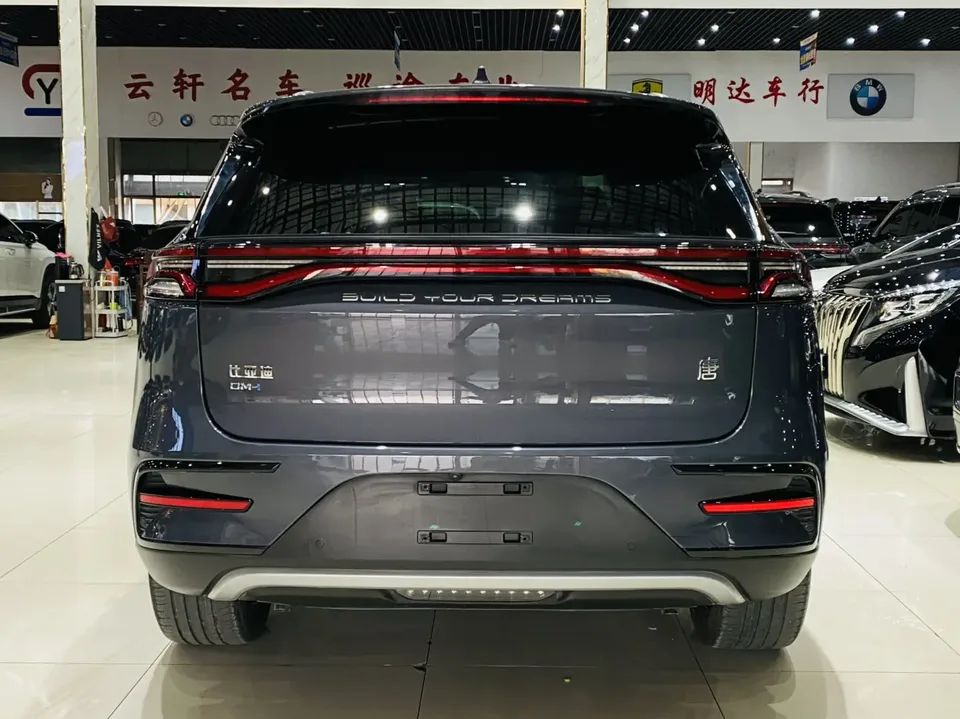 BYD Tang DM DM-i Champion Edition 112KM Prestige Edition 2023 — миниатюра 2