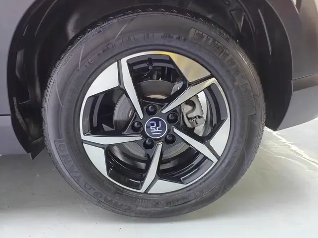 BYD Yuan Up 2024