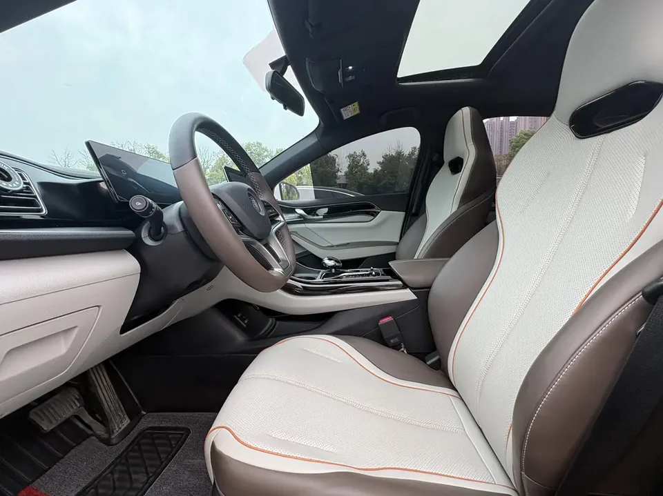 BYD Qin PLUS EV Honor Edition 420KM Transcendence Type 2024 — миниатюра 5
