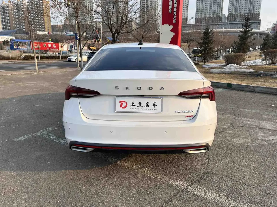 Skoda Octavia PRO TSI280 DSG Deluxe Edition 2022 — миниатюра 2