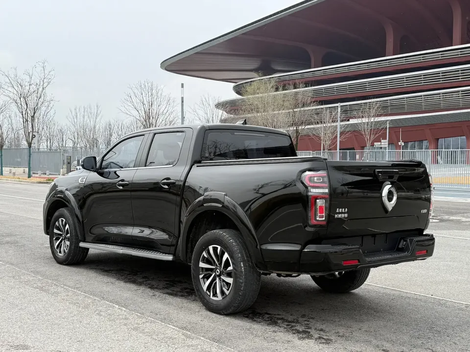 Great Wall gun passenger version 2.0T gasoline automatic four-wheel drive comfort model GW4C20B 2024 — миниатюра 5