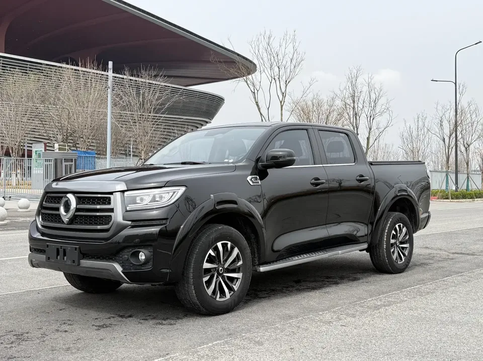 Great Wall gun passenger version 2.0T gasoline automatic four-wheel drive comfort model GW4C20B 2024 — фото 1, купить с доставкой в Москву