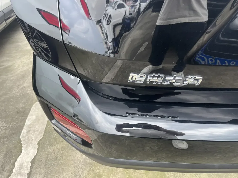 Haval Big Dog PLUS 1.5T 2WD Trendy Wild Edition Plus 2024 — миниатюра 3