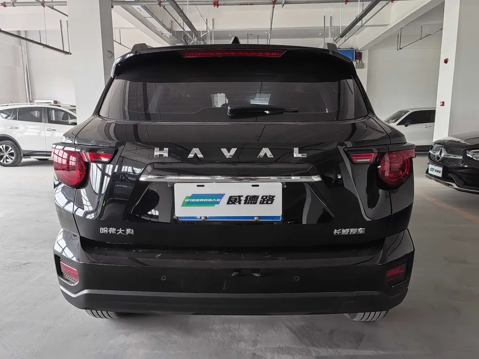 Haval Big Dog PLUS 1.5T 2WD Trendy Wild Edition Plus 2024 — миниатюра 2