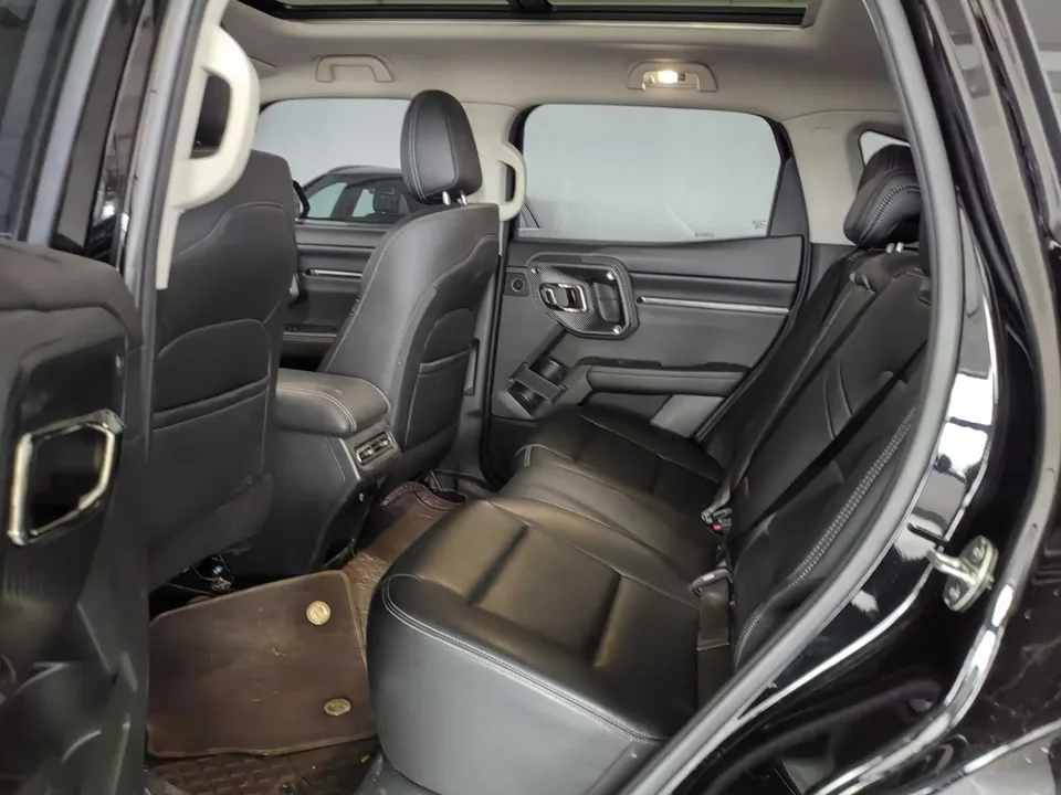 Haval Big Dog PLUS 1.5T 2WD Trendy Wild Edition Plus 2024 — миниатюра 3