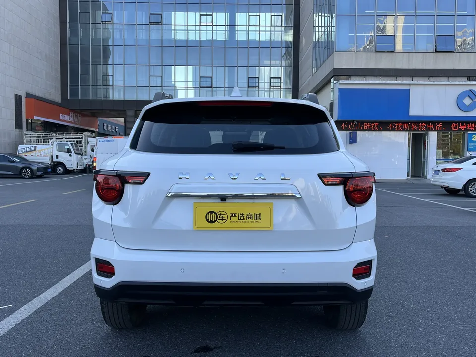 Haval Big Dog PLUS 2.0T 2WD Trendy Wild Edition 2024 — миниатюра 2