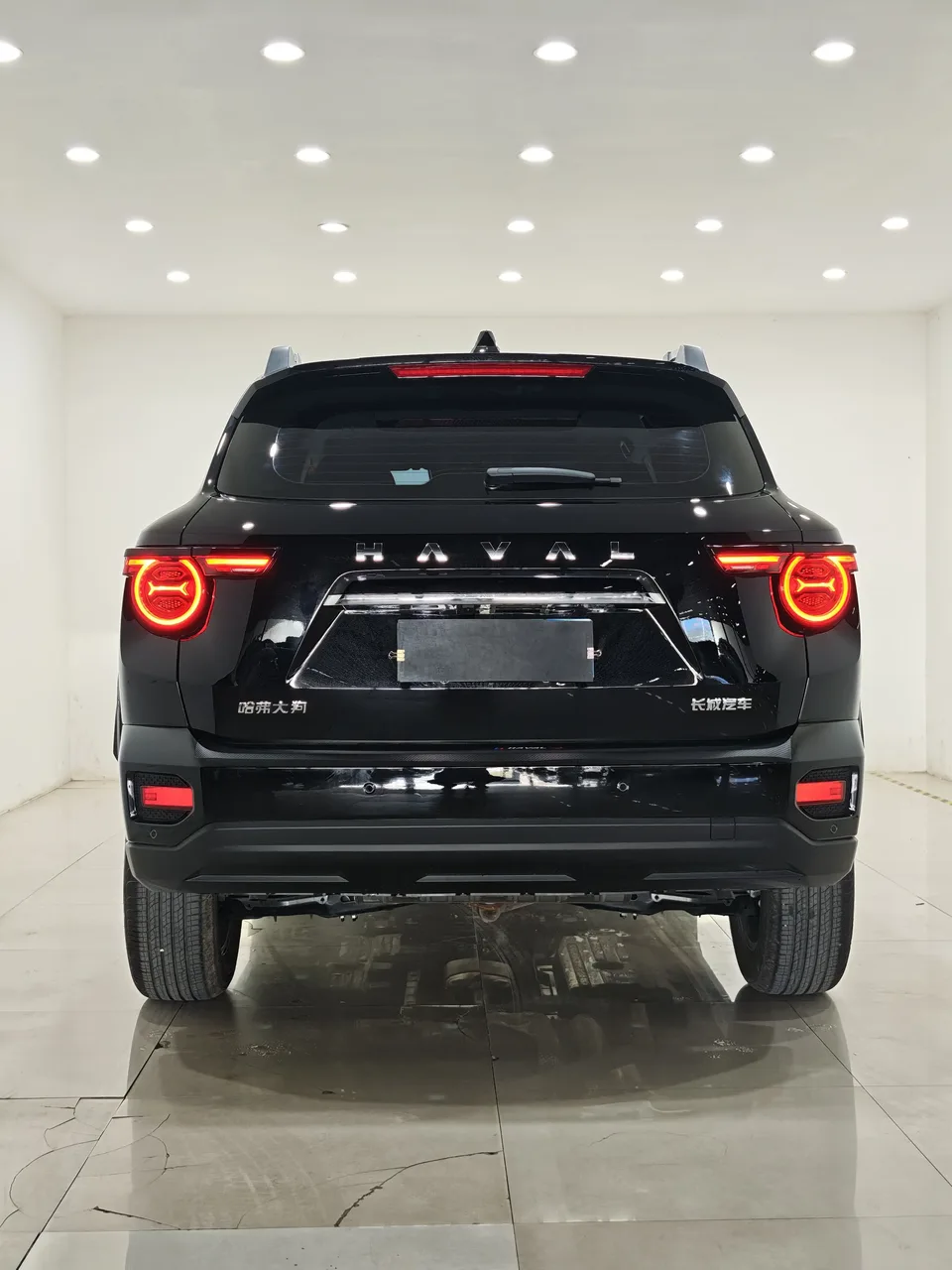 Haval Big Dog PLUS 1.5T 2WD Trendy Wild Edition Plus 2025 — миниатюра 2