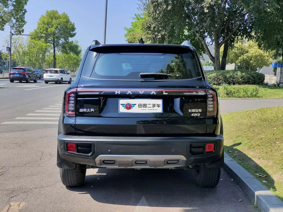 Haval Dargo Haval Big Dog 2024 2.0T four-wheel drive Chinese pastoral dog version 2024 — миниатюра 2