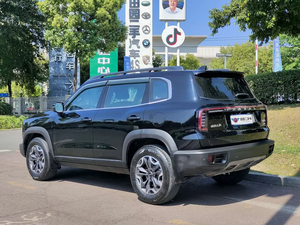 Haval Dargo Haval Big Dog 2024 2.0T four-wheel drive Chinese pastoral dog version 2024 — миниатюра 4