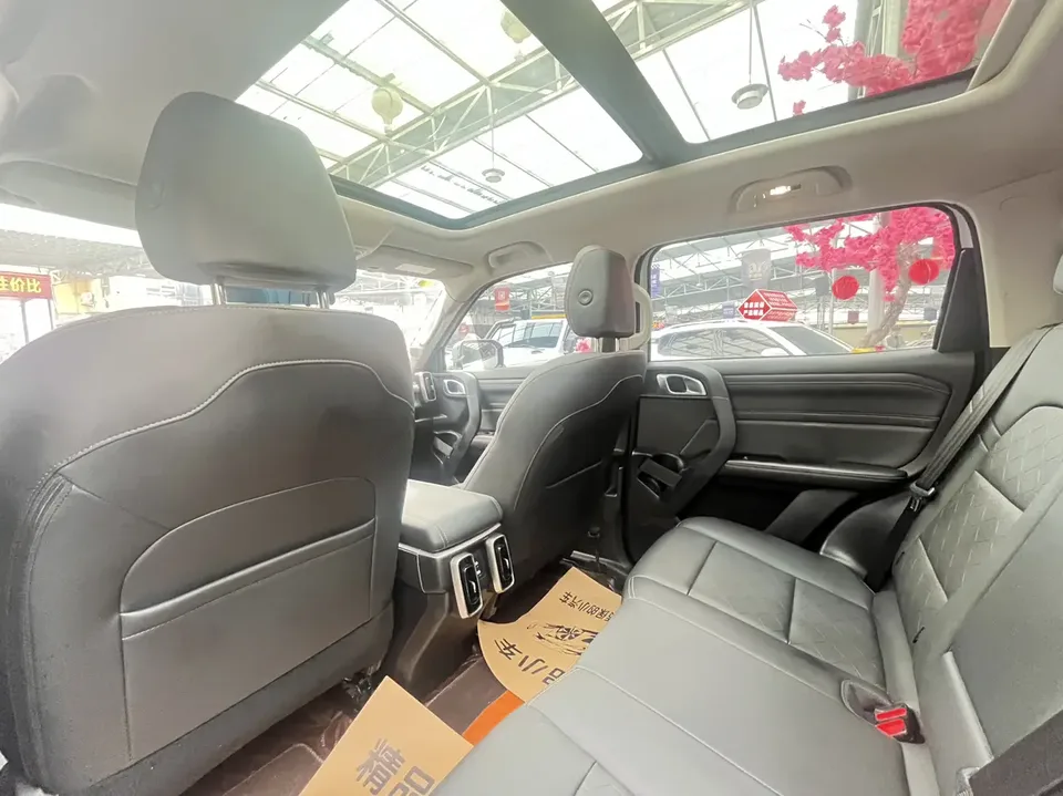 Haval Dargo Haval Big Dog 2024 2.0T four-wheel drive Chinese pastoral dog version 2023 — миниатюра 3