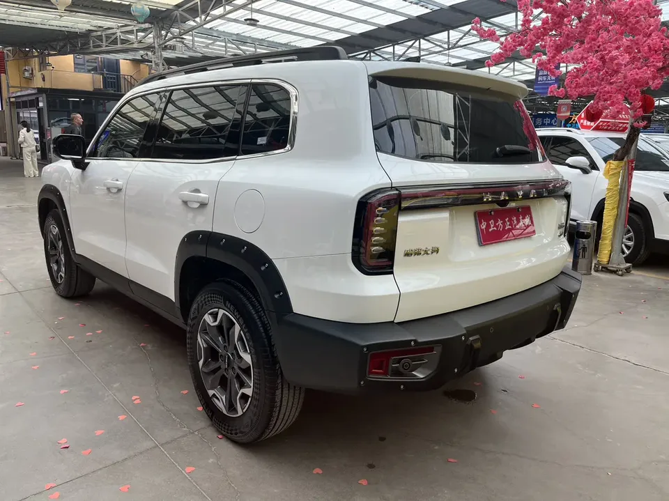 Haval Dargo Haval Big Dog 2024 2.0T four-wheel drive Chinese pastoral dog version 2023 — миниатюра 4