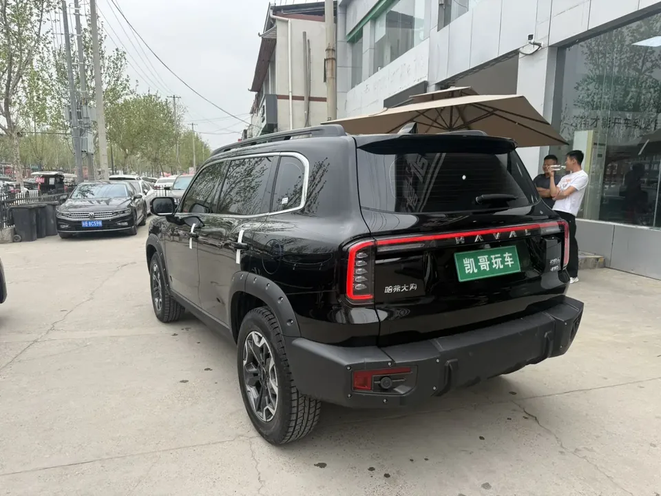 Haval Dargo Haval Big Dog 2024 2.0T four-wheel drive Chinese pastoral dog version 2025 — миниатюра 4