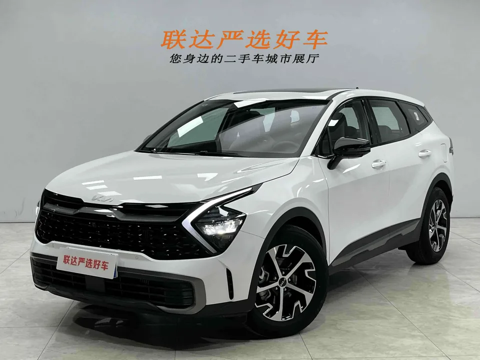 Kia Lion Platinum Expands the Boundary 2025