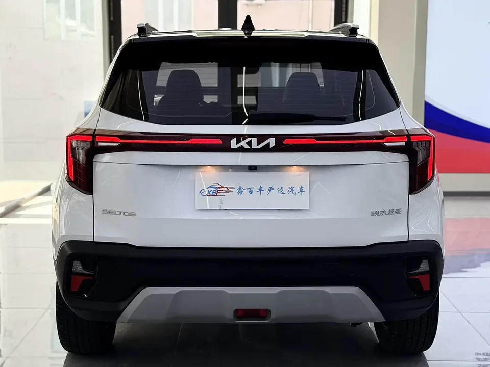 Kia Seltos CYLTUS 1.5L IVT Luxury Edition 2024 — миниатюра 2