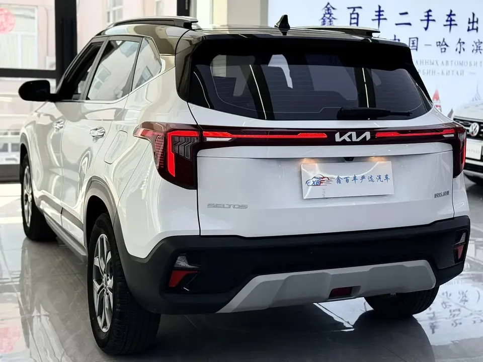 Kia Seltos CYLTUS 1.5L IVT Luxury Edition 2024 — миниатюра 4