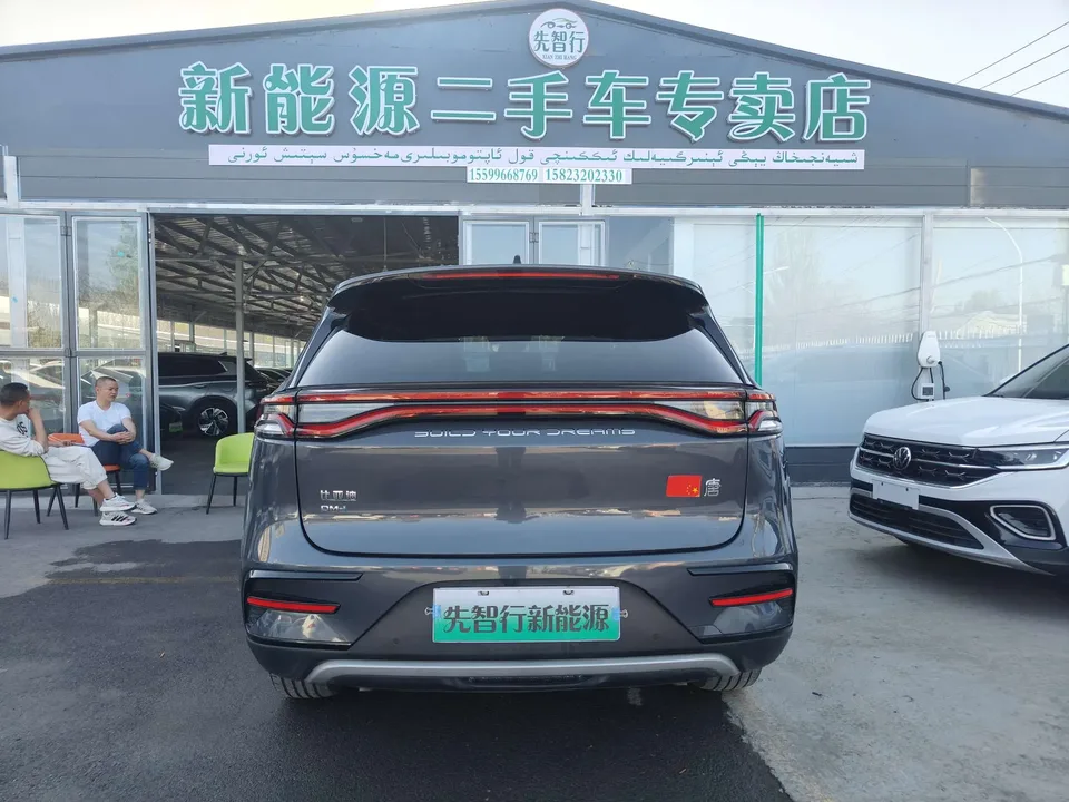 BYD Tang DM DM-i 1.5T 112KM Premium Edition 2023 — миниатюра 2