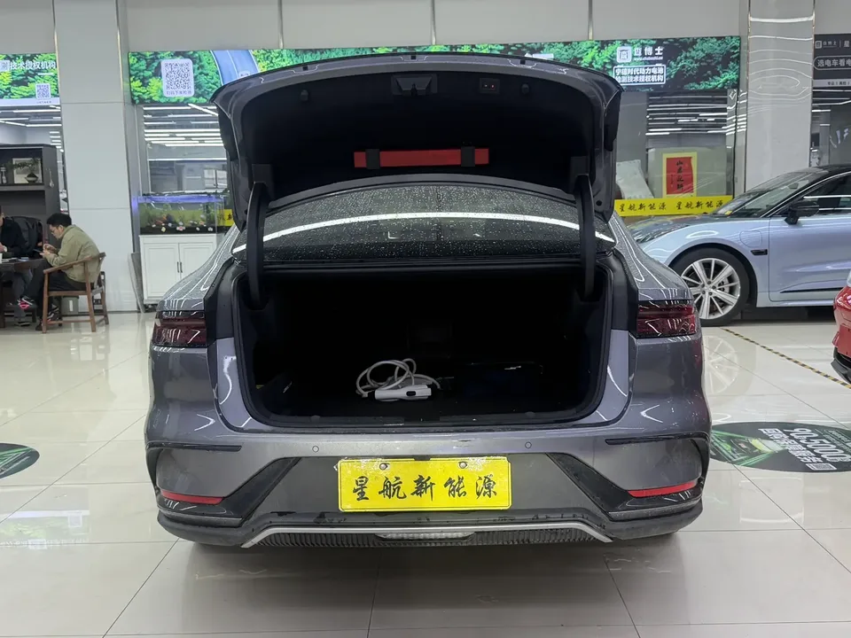 BYD Han DM DM-i 121KM Premium Edition 2022 — миниатюра 2