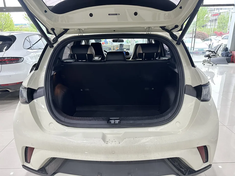 BYD Dolphin Dolphin 2023 Dolphin 2023 Free Edition 2024 — thumbnail 4