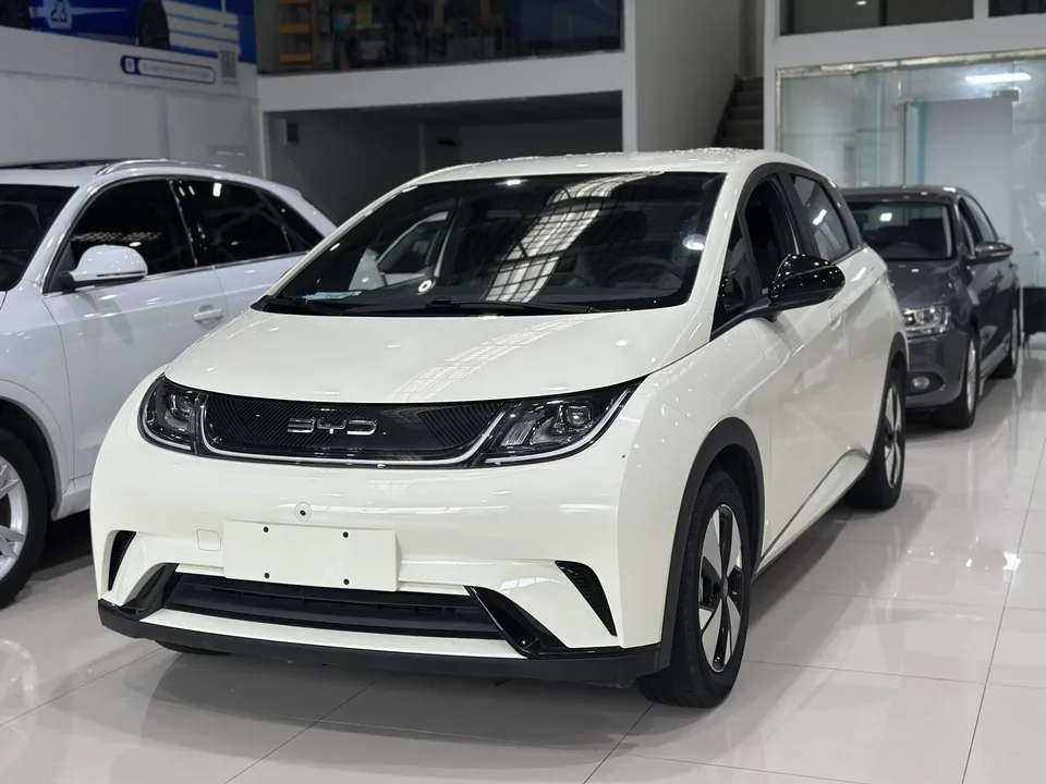 BYD Dolphin Dolphin 2023 Dolphin 2023 Free Edition 2024 — photo 1, buy with delivery to Moscow