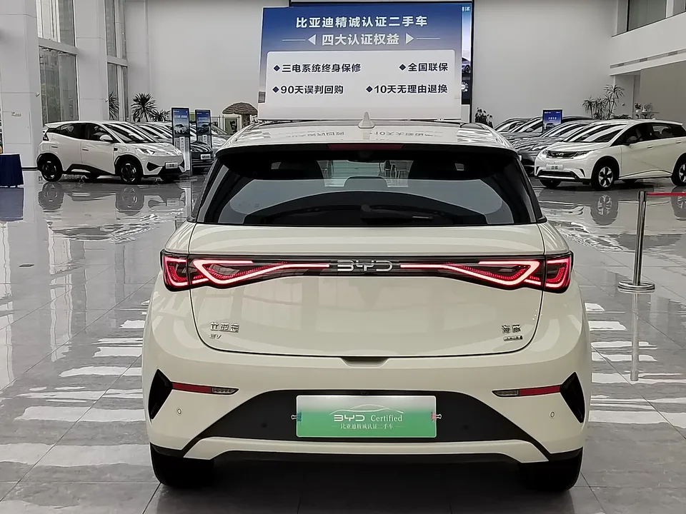 BYD Dolphin Smart Driving Edition 410KM Fashion Edition 2025 — миниатюра 2
