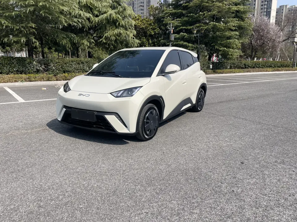 BYD Seagull Seagull 2025 Seagull 2025 305KM Vitality Edition 2025 — photo 1, buy with delivery to Moscow
