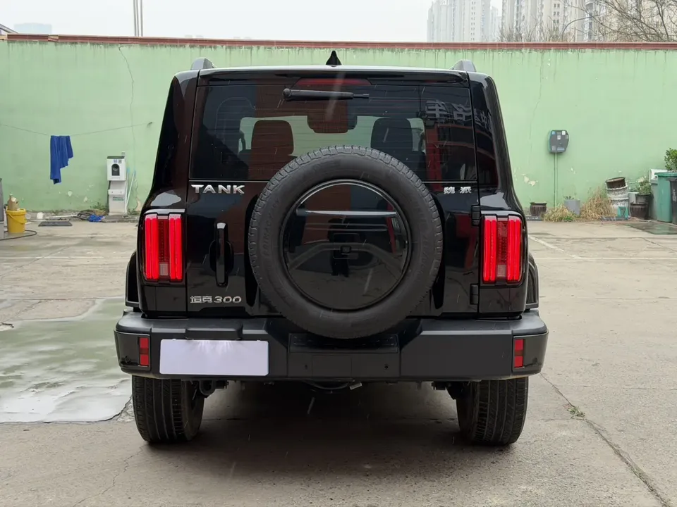 Tank 300 City Edition 2.0T Very Stylish 2022 — миниатюра 2