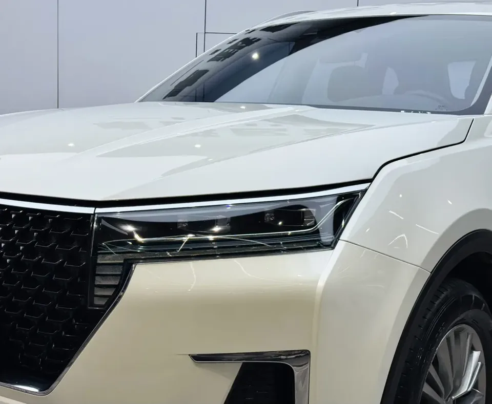 Kai Chen Venus Star Venucia 2022 260T 48V light hybrid supercharged star version 2022 — миниатюра 3