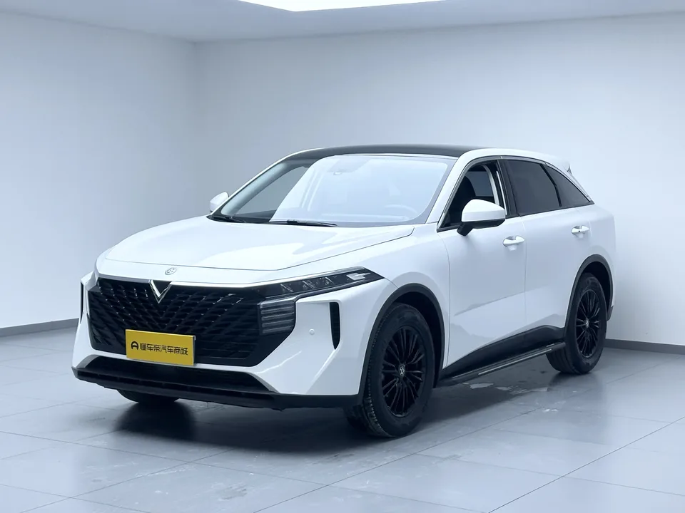 Kai Chen Venucia Big V 2024