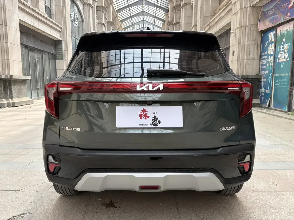 Kia Seltos CYLTUS 1.5L IVT Luxury Edition 2023 — миниатюра 5