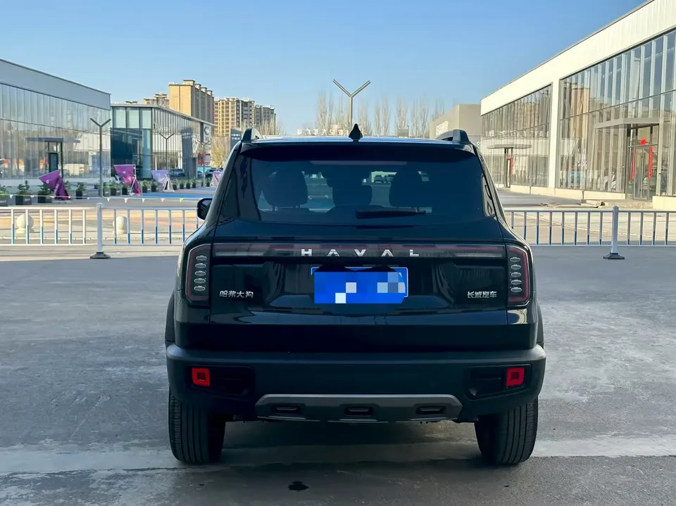 Haval Dargo Haval Big Dog 2024 1.5T 2WD Border Collie Edition 2024 — миниатюра 2
