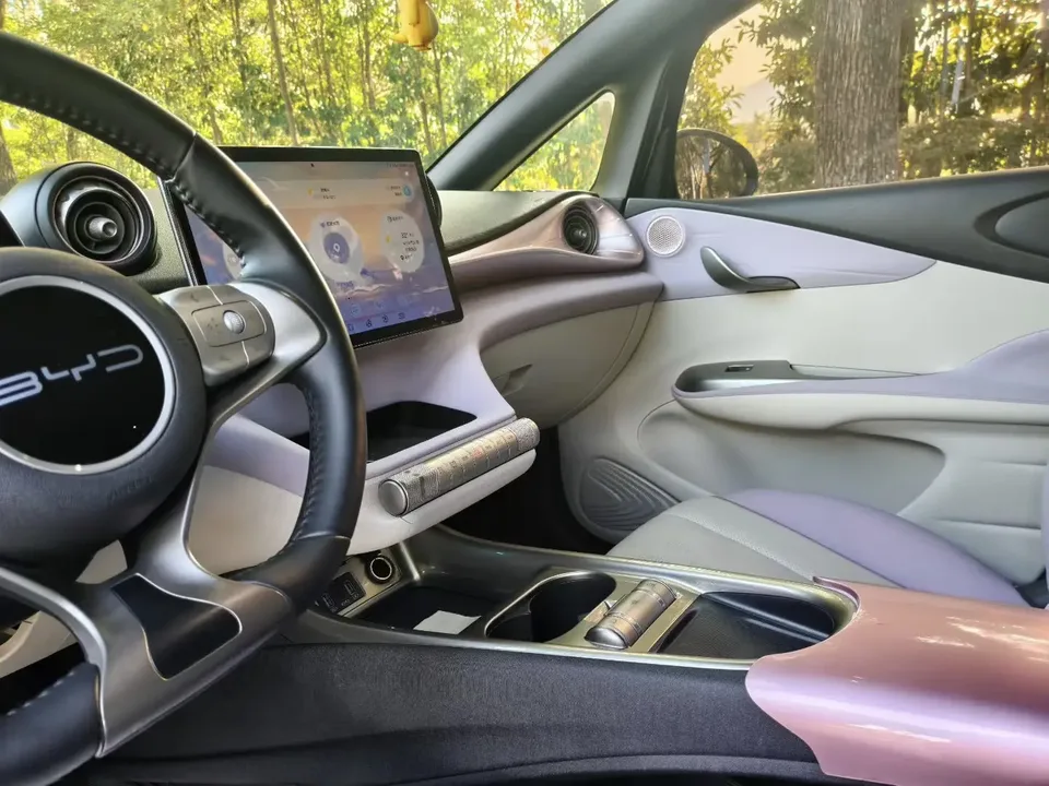 BYD Dolphin Dolphin 2023 Fashion Edition 2023 — миниатюра 5