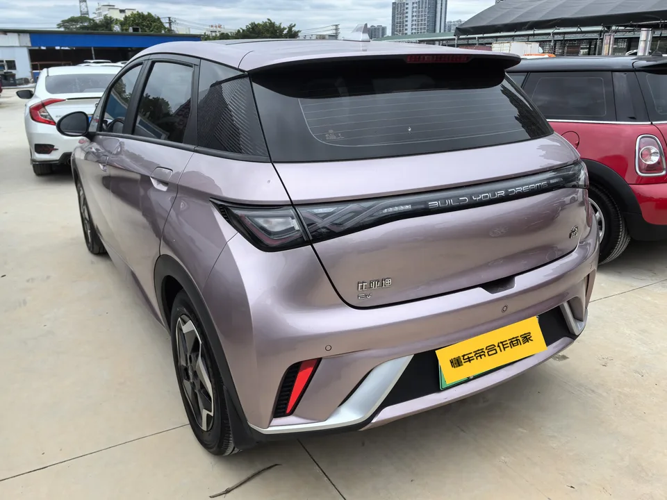BYD Dolphin Fashion Edition 2022 — миниатюра 4