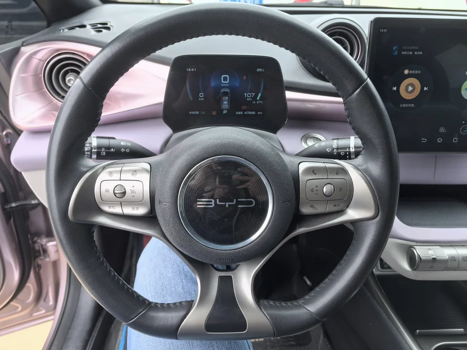 BYD Dolphin Fashion Edition 2022 — миниатюра 5