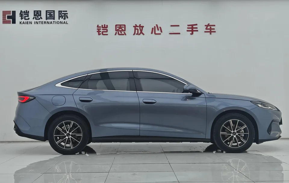 BYD Seal 06DM DM-i 80KM Premium 2025 — миниатюра 2