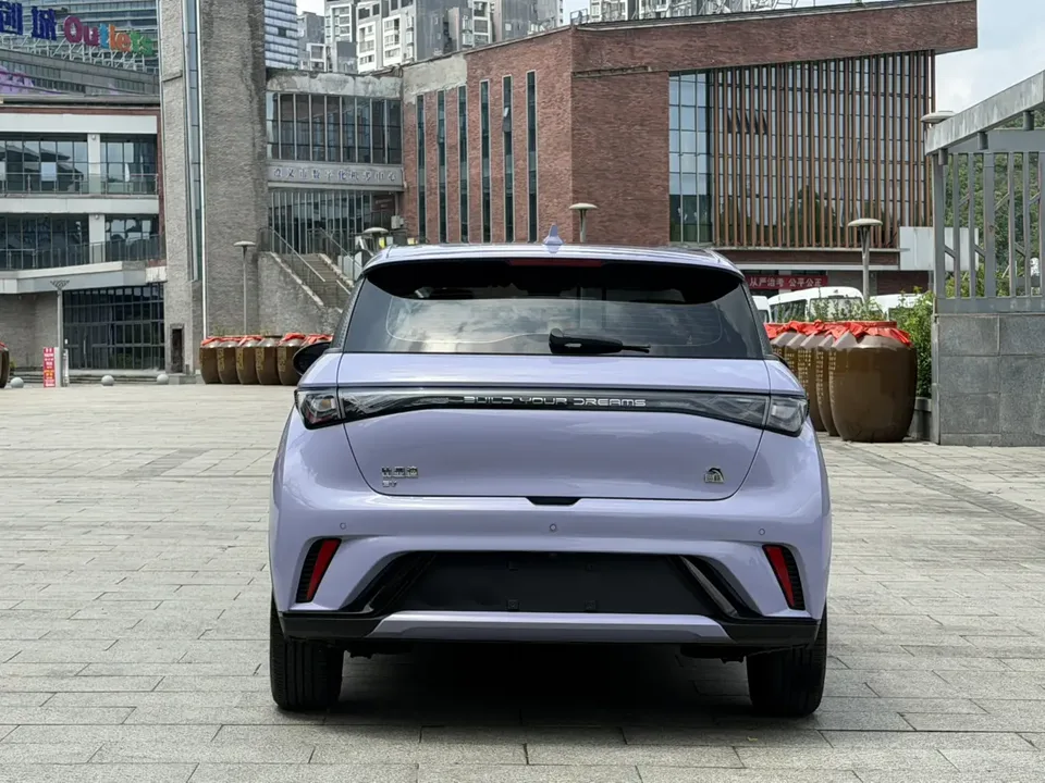 BYD Dolphin Dolphin 2023 Cavalier Edition 2024 — миниатюра 2