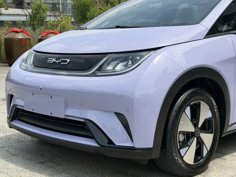BYD Dolphin Dolphin 2023 Cavalier Edition 2024 — миниатюра 3