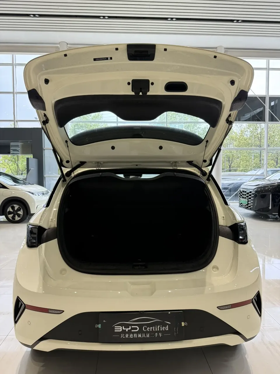 BYD Dolphin Smart Driving Edition 410KM Fashion Edition 2025 — миниатюра 2
