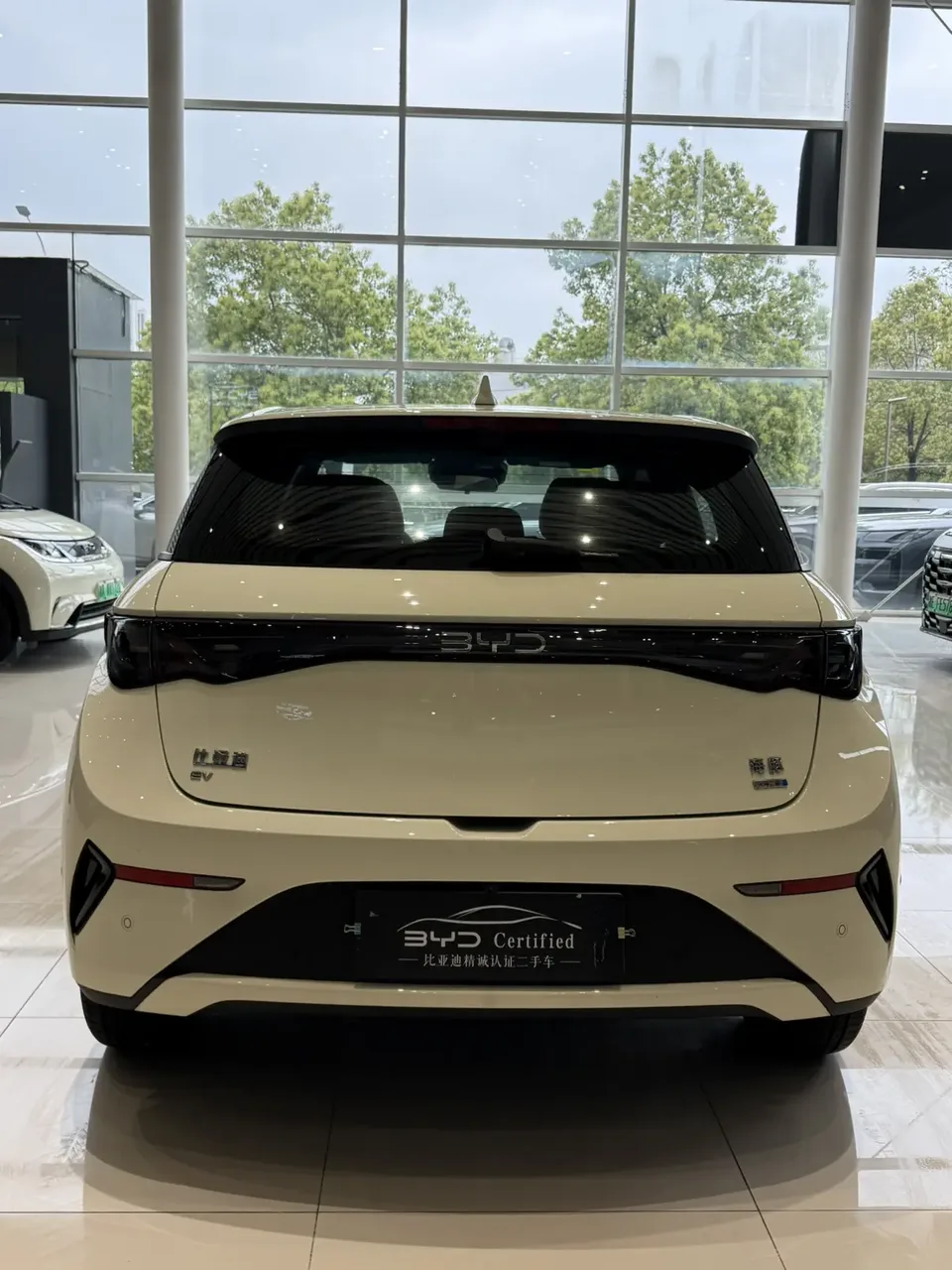 BYD Dolphin Smart Driving Edition 410KM Fashion Edition 2025 — миниатюра 4