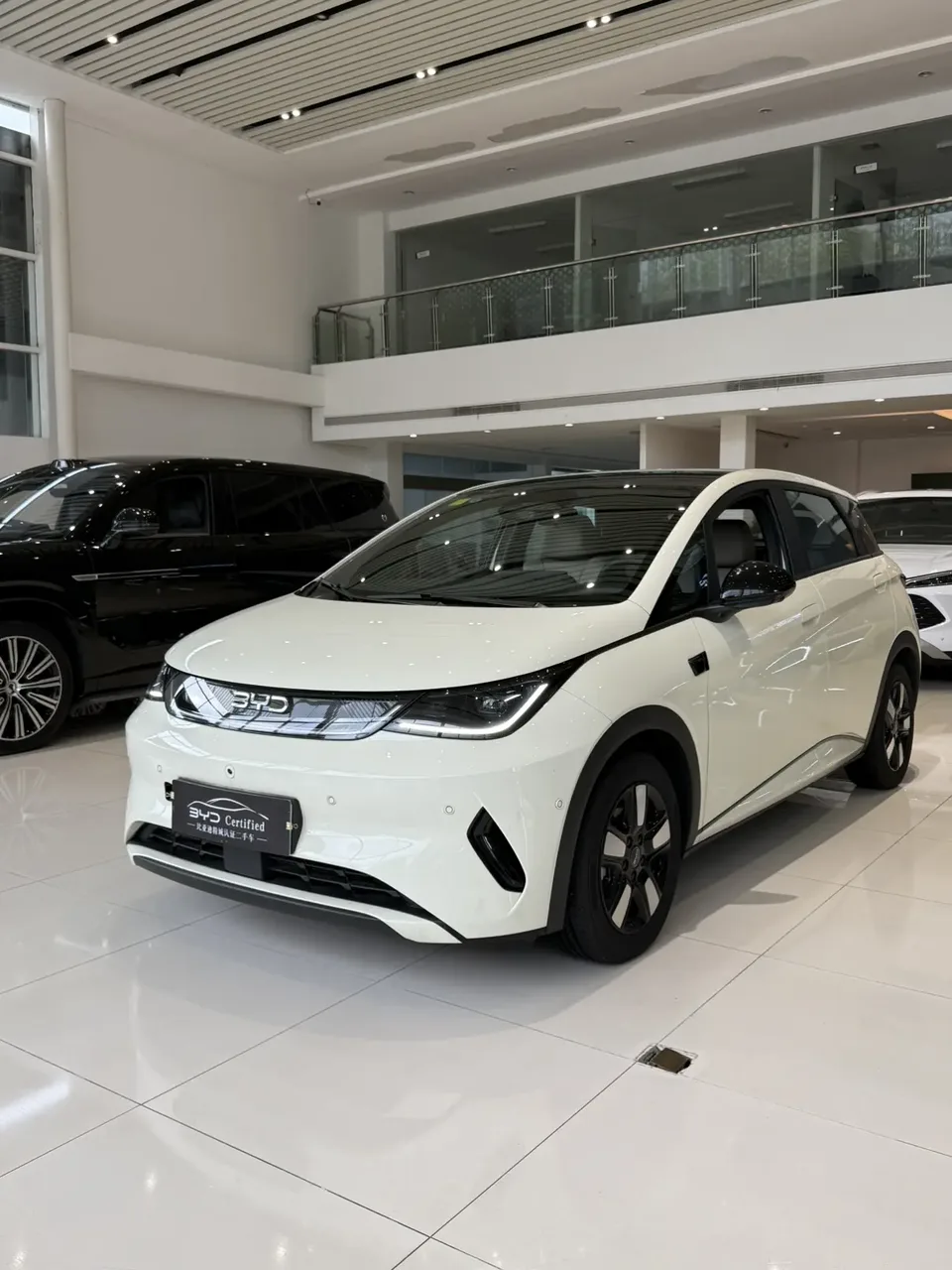 BYD Dolphin 2025