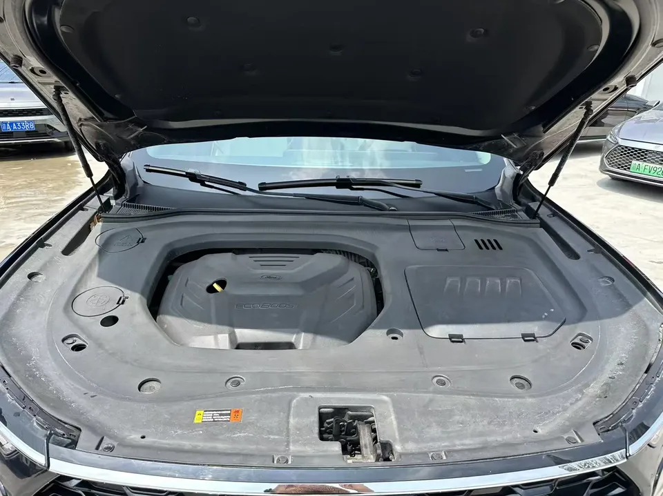 Ford Lingyu EcoBoost 225 6-seat Elite Edition 2023 — миниатюра 3