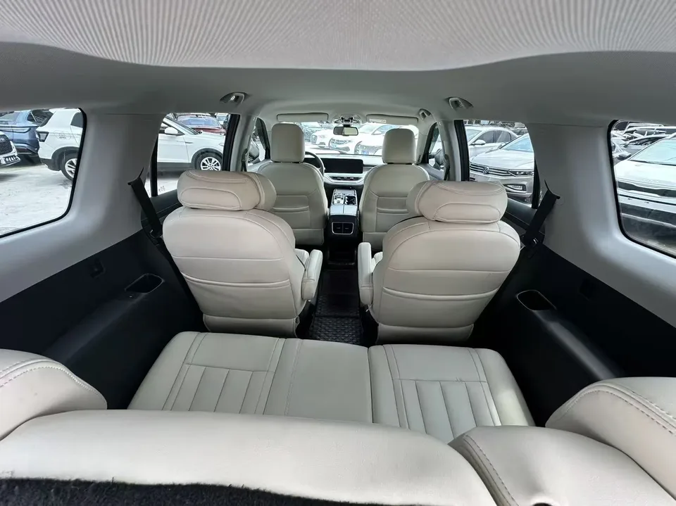 Ford Lingyu EcoBoost 225 6-seat Elite Edition 2023 — миниатюра 5