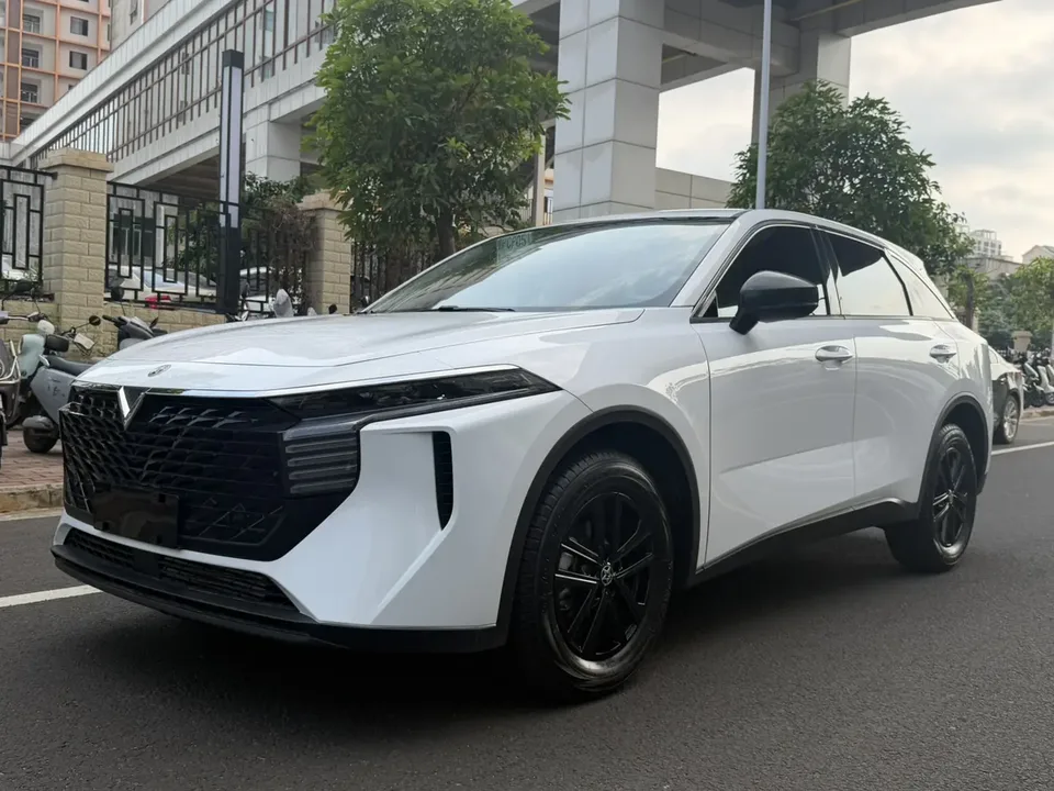 Kai Chen Venucia Big V 2024