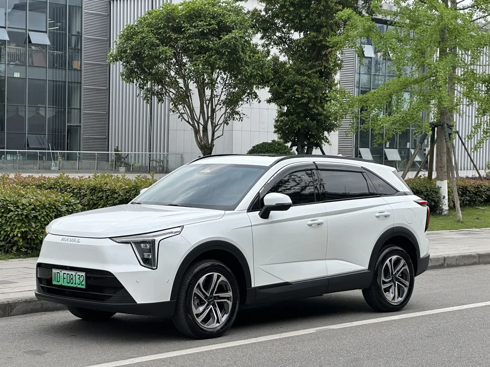 Haval Harvard Xiaolong 2024