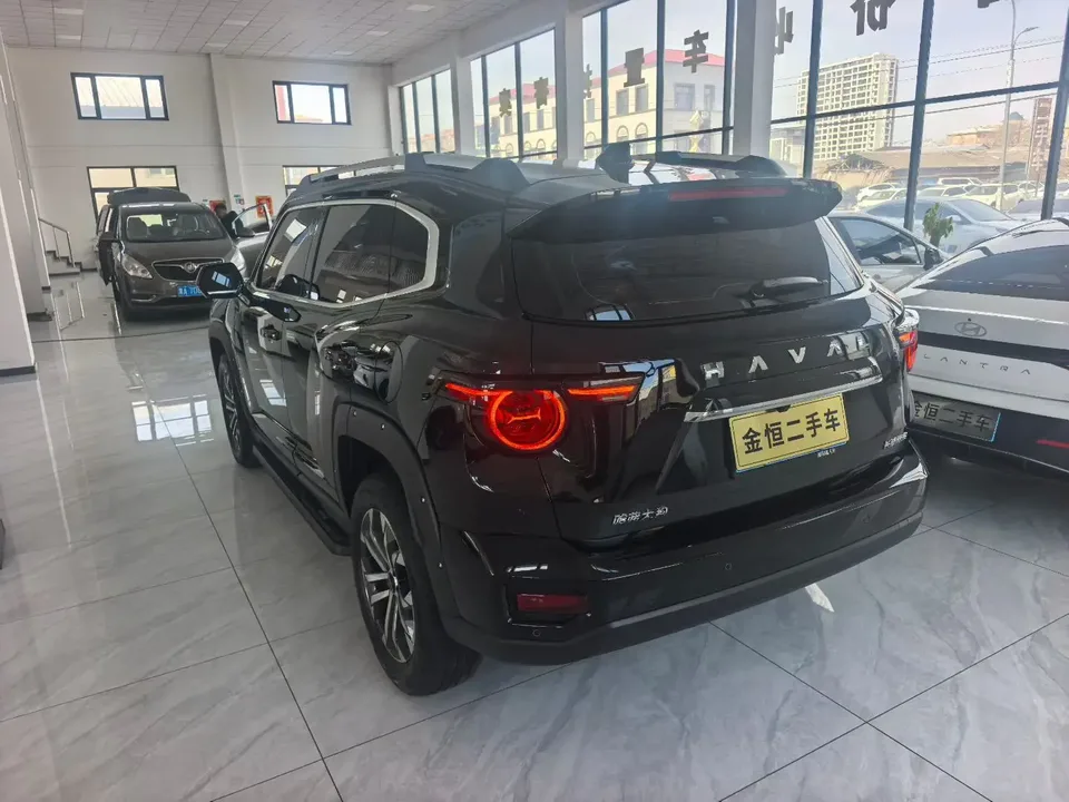 Haval Big Dog PLUS 1.5T 2WD Trendy Wild Edition Plus 2024 — миниатюра 4