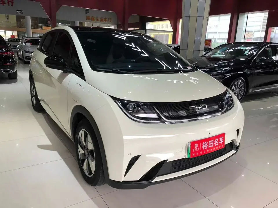 BYD Dolphin 2024